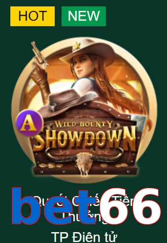 bet66