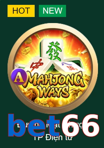 bet66