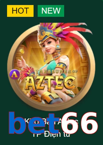 bet66